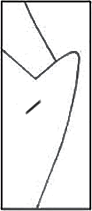 Custom Suit Coat Shawl Lapels