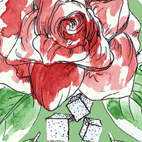 Mint Kentucky Derby            Lining